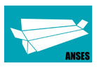 Knowledge Media Institute | ANSES Logo