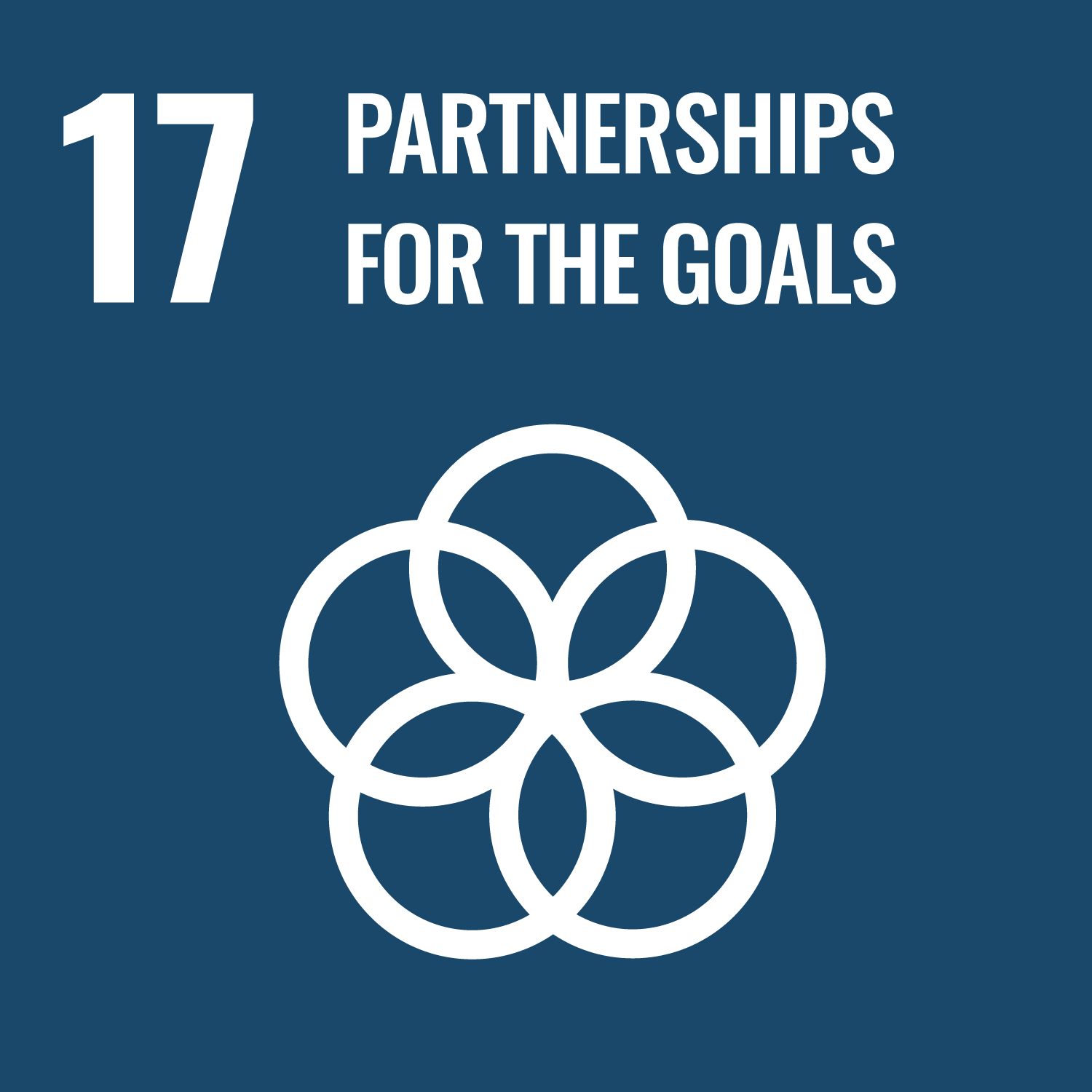 Sustainable Development Goal 17 Icon