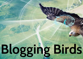 Blogging Birds logo