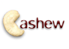 CASHEW logo