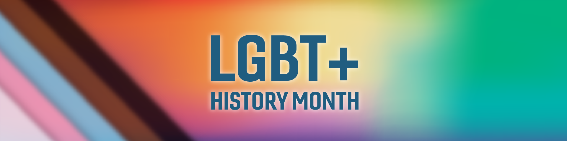 LGBT+ History Month - Flag Banner